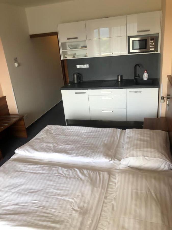 Apartmány wellness Frymburk Exterior foto